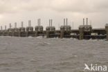 Oosterscheldedam