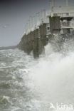 Oosterscheldedam