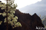 Caldera de Taburiente National Park
