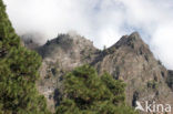 Parque Nacional de la Caldera de Taburiente