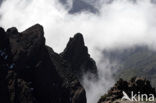 Parque Nacional de la Caldera de Taburiente