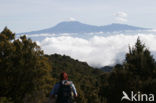 Pico del Teide National Park