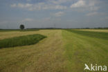 Polder Sekdoorn