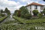 Reeuwijkse Plassen