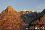 Rypefjord