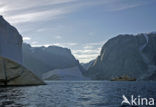 Rypefjord