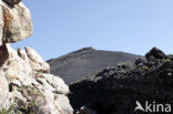 San Antonio volcano
