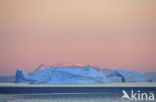 Scoresby Sund