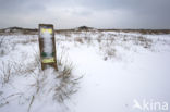 Duinen van Goeree