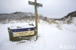 Duinen van Goeree