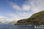 Faeroe Islands