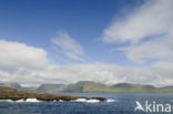 Faeroe Islands