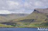 Faeroe Islands