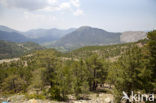 Karabayir Köyü