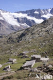 Nationaal park Gran Paradiso