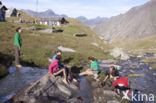 Nationaal park Gran Paradiso