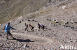 Gran Paradiso National Park