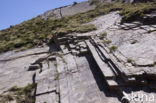 Gran Paradiso National Park