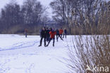 Nieuwkoopse Plassen