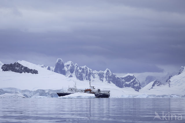 Wilhelmina Bay