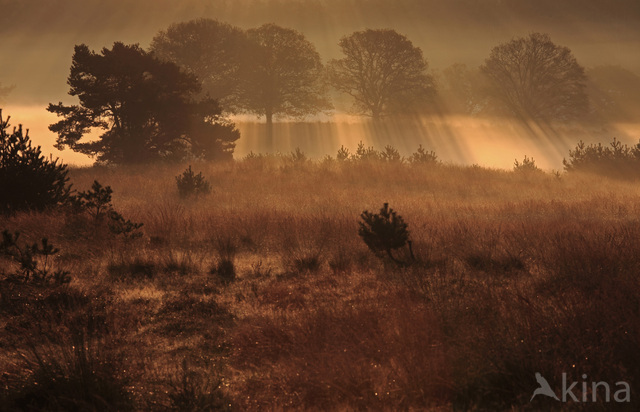 Nationaal Park Veluwezoom