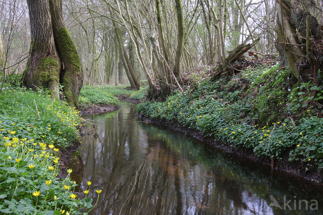 Rossumermeeden