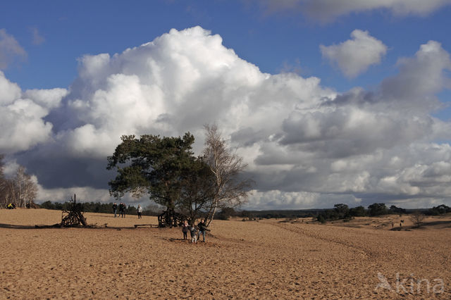 Kootwijkerzand