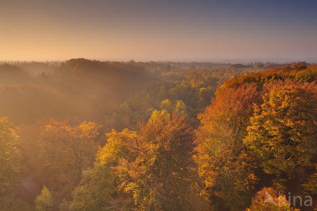 Nationaal park Utrechtse Heuvelrug